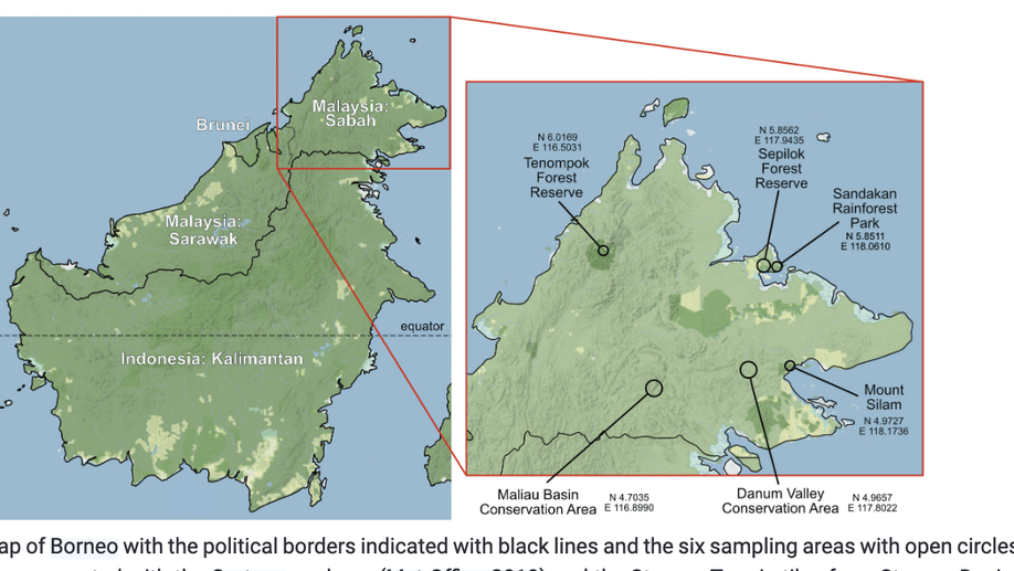 The Dacini fruit flies of Borneo: an annotated checklist with 89 species including three new to science (Tephritidae, Dacinae)
